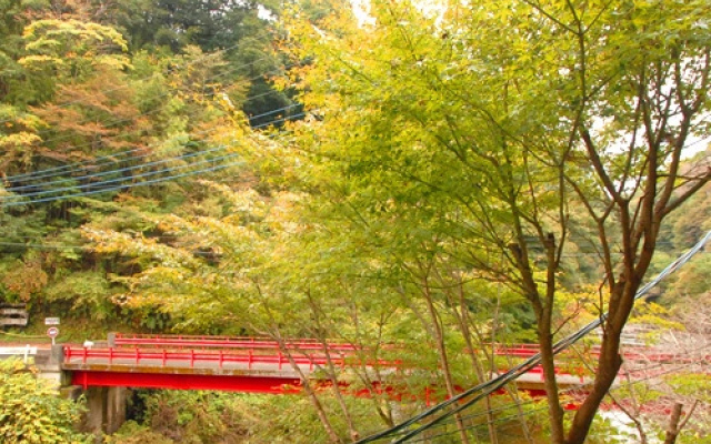 Youroukeikoku Onsenkyo Onsen Ryokan Kawanoya