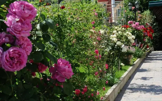 Il Gelsomino B&B