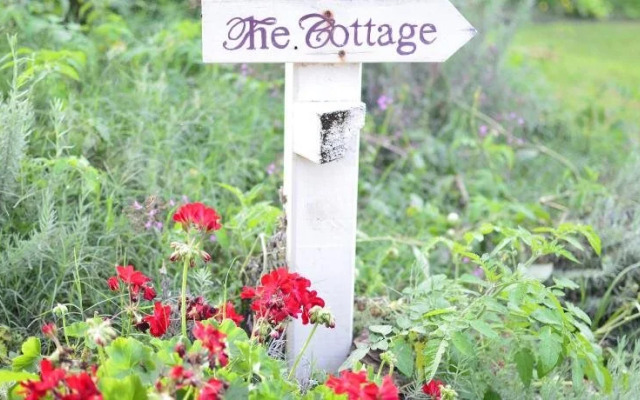 Rosevillehouse Bed & Breakfast