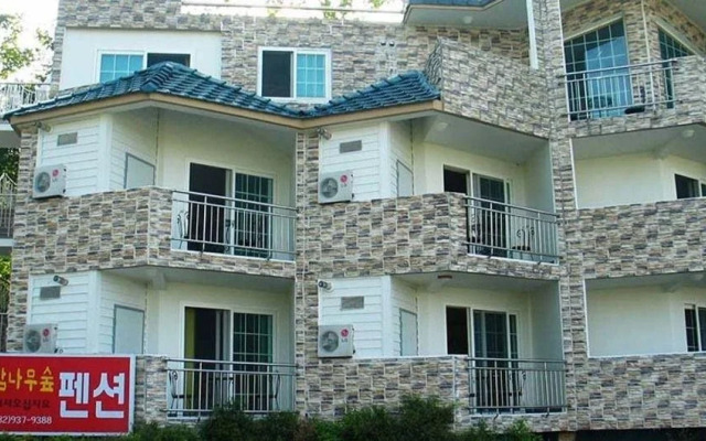 The Persimmon Tree Pension