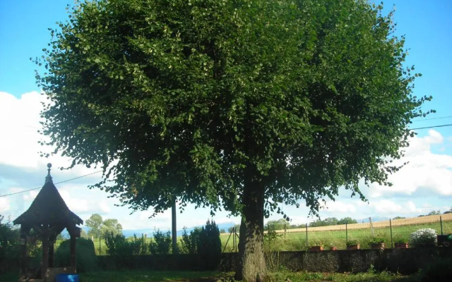 La Bardelière