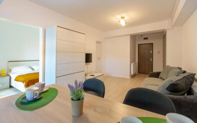 Studio Andrei Mamaia Nord