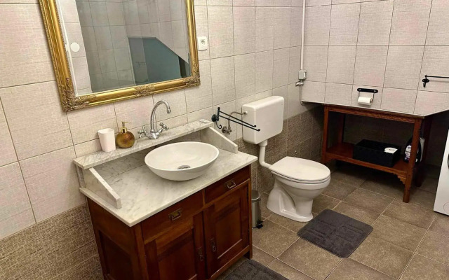 Wine apartment Zaklad Soče