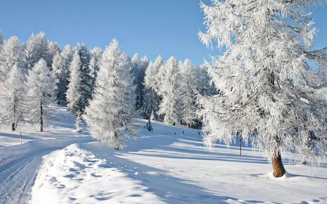 Pension Wiesengrund