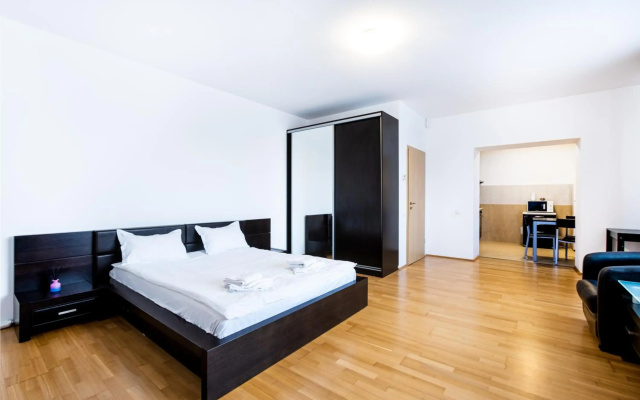 Luxury Studio Aviatiei