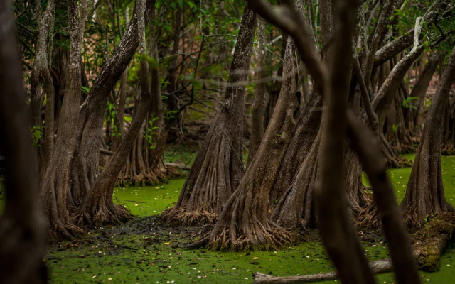 Casa Cenote Popol Vuh