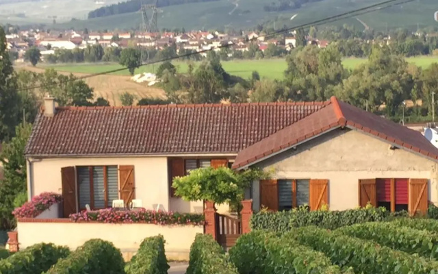 La Loge Du Vigneron