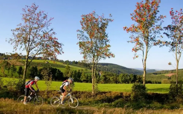 Sauerland Chalet Limonet