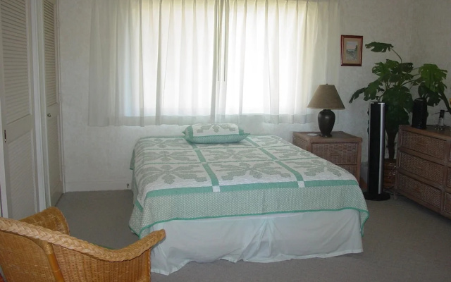 Vista Waikoloa B206
