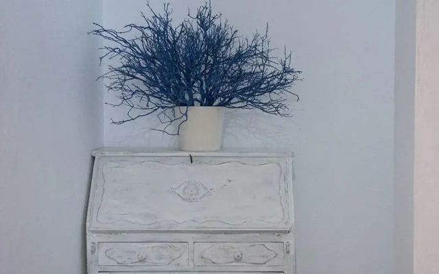 Apartamentos Ripoll Ibiza