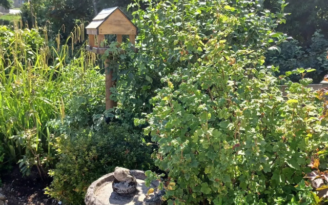 Woodbine Cottage