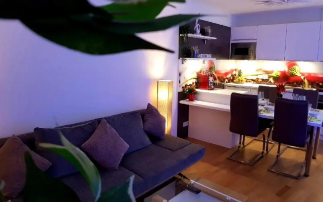 Apartment Giuliano Vienna 2