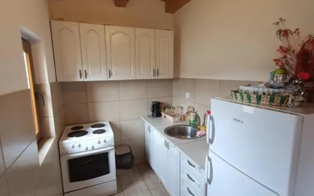 Vacation Home Andjelic