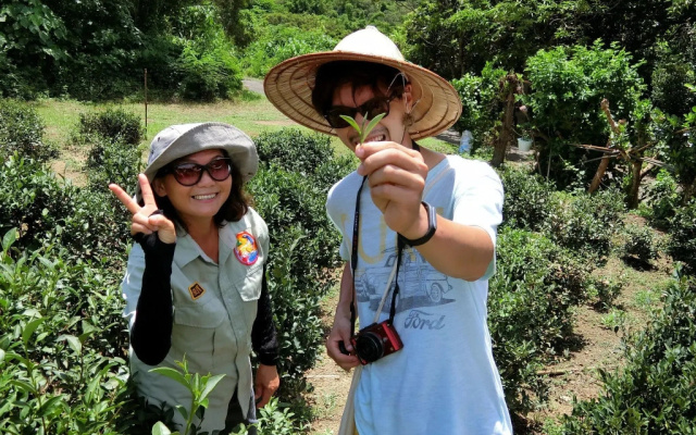 DreamButterfly Pet & Nature Hostel
