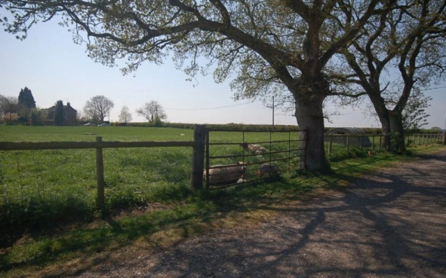 The Dairy