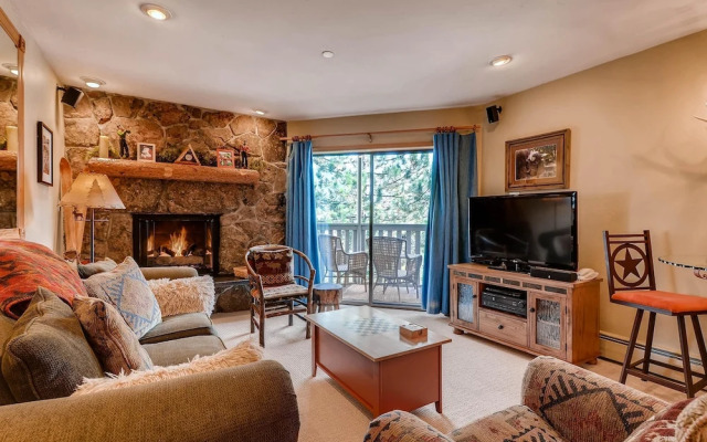 Westwind 202 2BD 2BA Platinum Condo in Lionshead Village