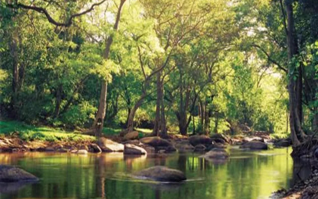 Kerala Wild Stay