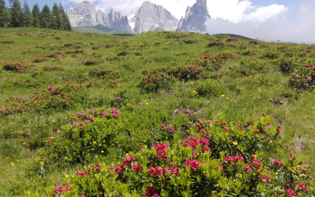 Affittacamere Villa Sole