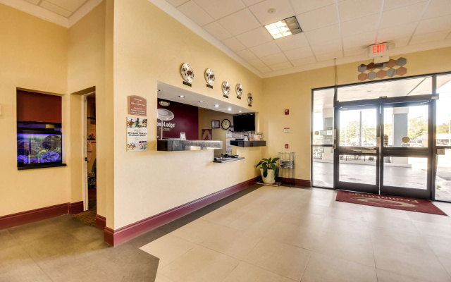 Econo Lodge Tampa near Busch Gardens