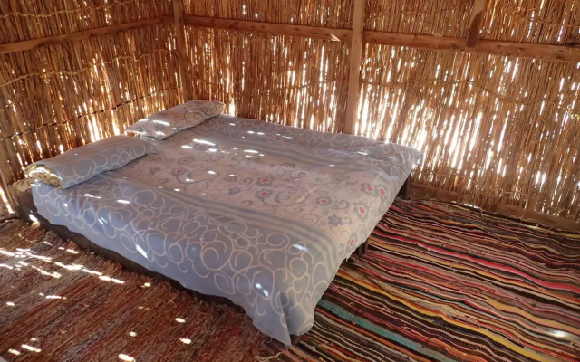 Bedouin Star