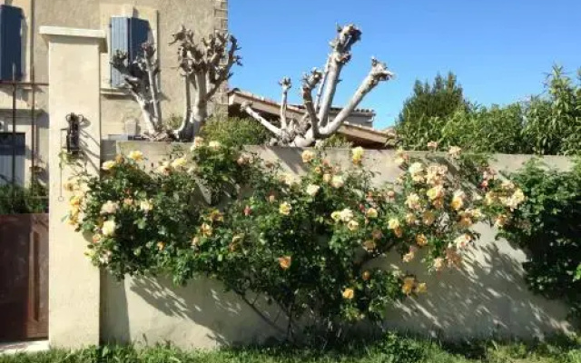 B&B - Le Vieux Figuier