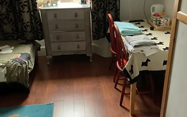 Scotty dog room 2