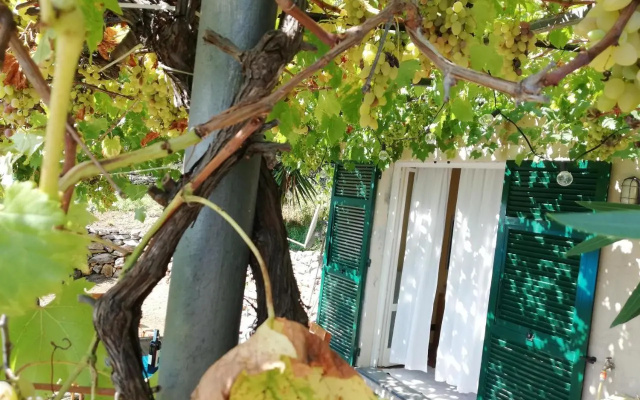 Ariadimare guest house