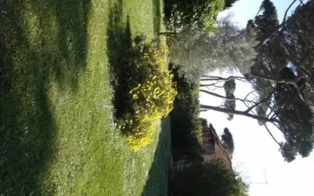 Casale delle Mimose