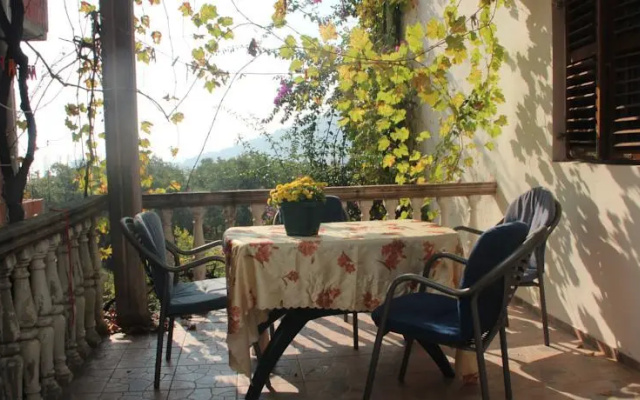 Apartments Lazar