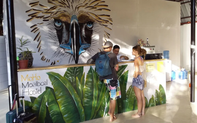 MoHo Moalboal Hostel