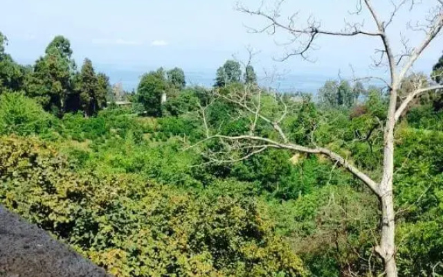 Avto s Guest House