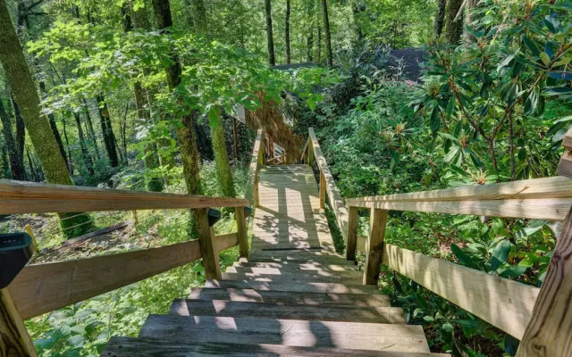 Mountain Laurel Tree House