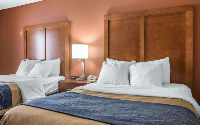 Comfort Inn Livingston