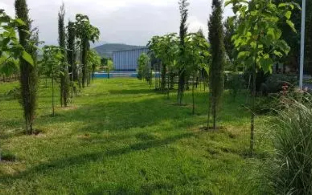 Shaloshvilis Cellar Hotel