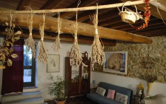 Podere Casalpiano