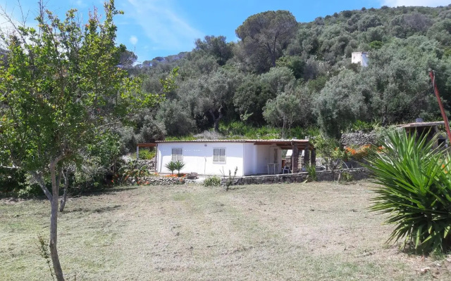 Garden House Q4527