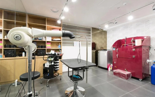 The Pettel Premium Suite