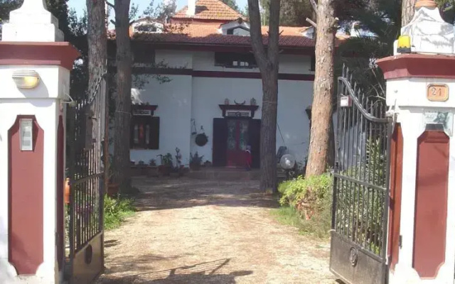 Ombra dei Pini