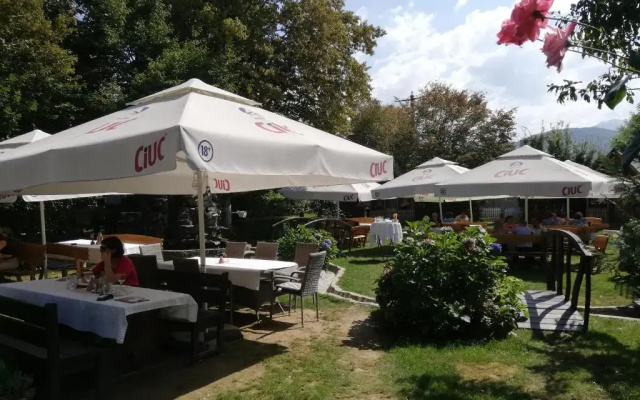 Pensiunea Ghiocelul