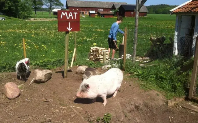 Äventyrsgårdens Vandrarhem, Kinnekulle