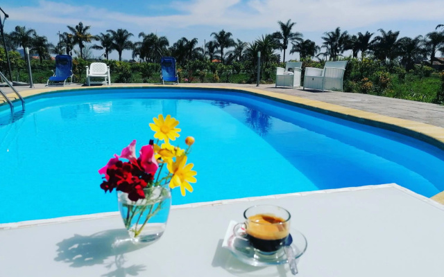 Villa Laura Apartment