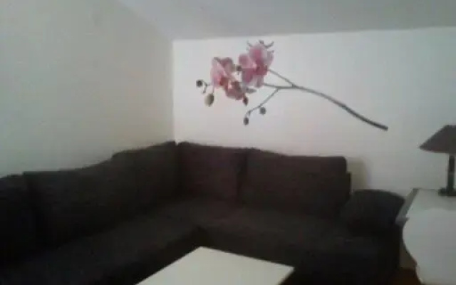 Apartment Zelenčić