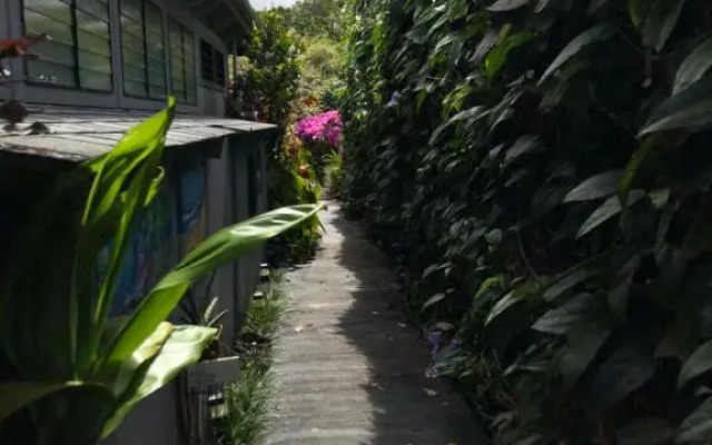 The Secret Garden Room