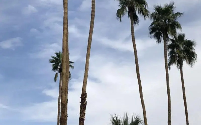 Desert Lodge
