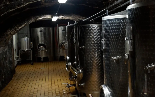 Classisches Weingut Hoffranzen