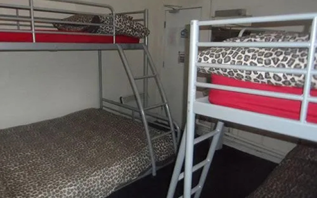 The Hangover Hotel - Hostel