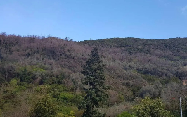 Il Villino