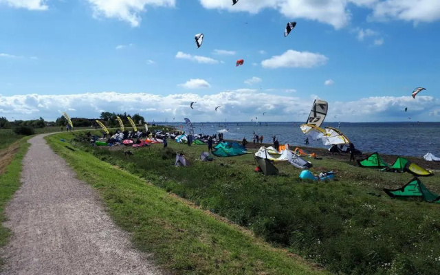 Knusthof Lafrenz - Goldblick