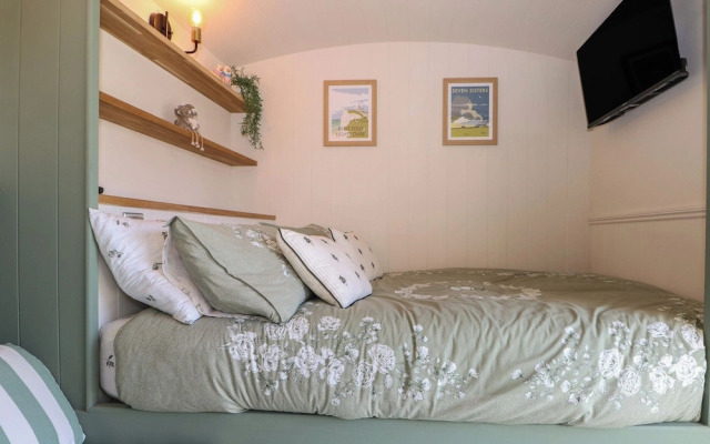 Salthaven Shepherds Hut