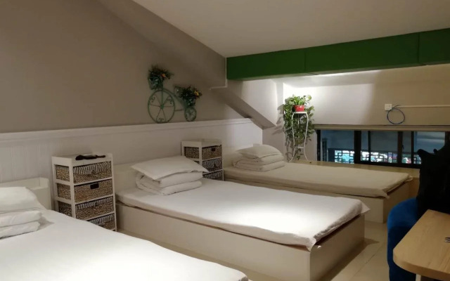 Zerg Backpackers Youth Hostel